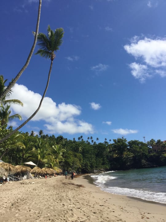 Strand Bahia Principe Grand Samana - Adults Only