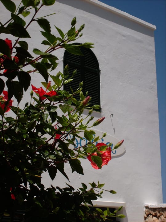 Blumen vor dem Hotel Hotel Bahia