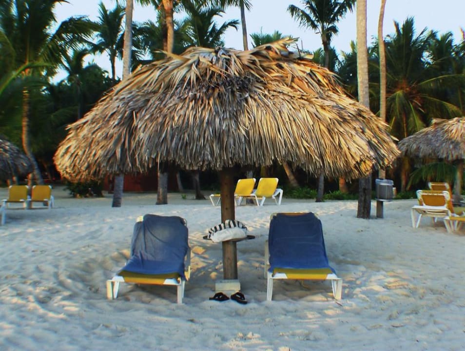 Strandliegen Catalonia Punta Cana - All Inclusive