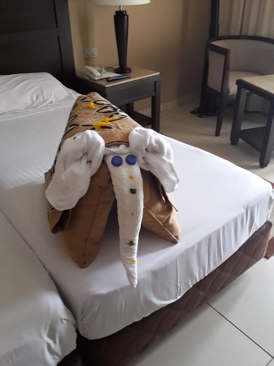 Zimmer Jaz Dar EL Madina