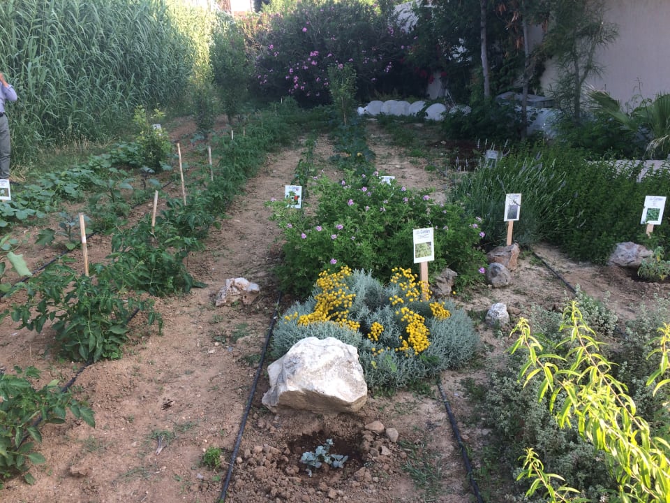 Gartenanlage Santa Marina Beach