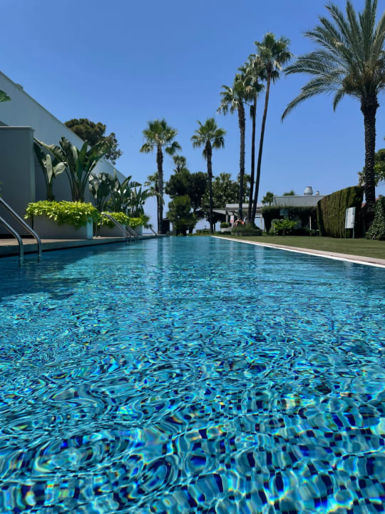 Pool Acanthus Cennet Barut Collection