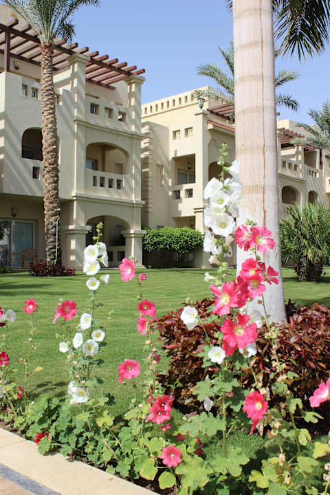 Blumen am Weg Rixos Sharm El Sheikh Adults Only 18 +