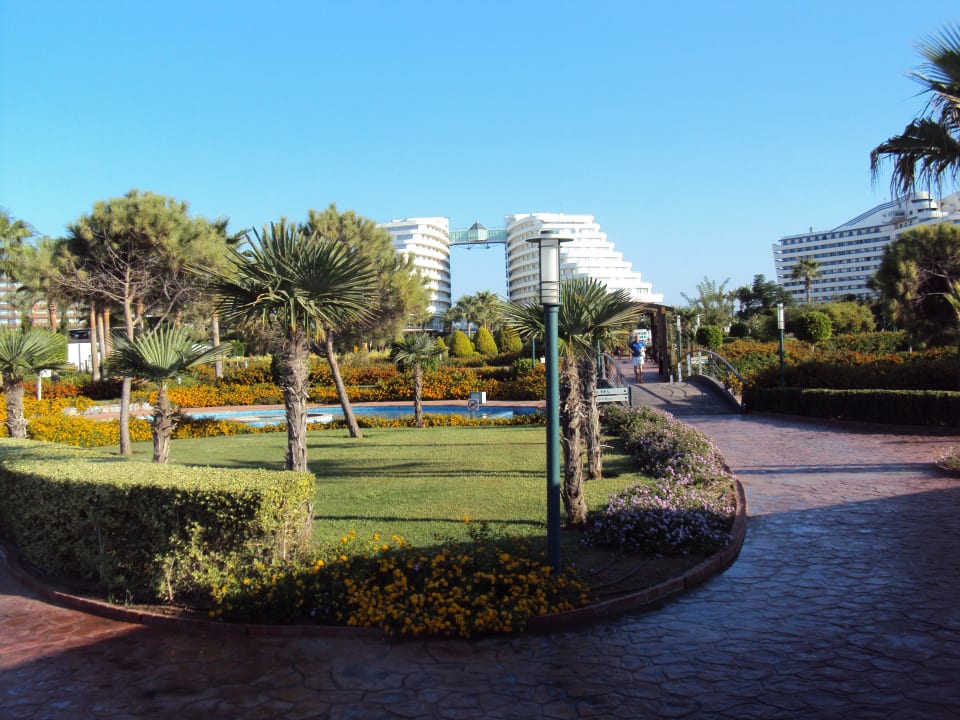 Miracle Hotel Miracle Resort