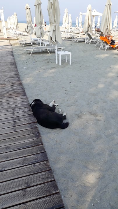 Strand Olympian Bay Grand Resort