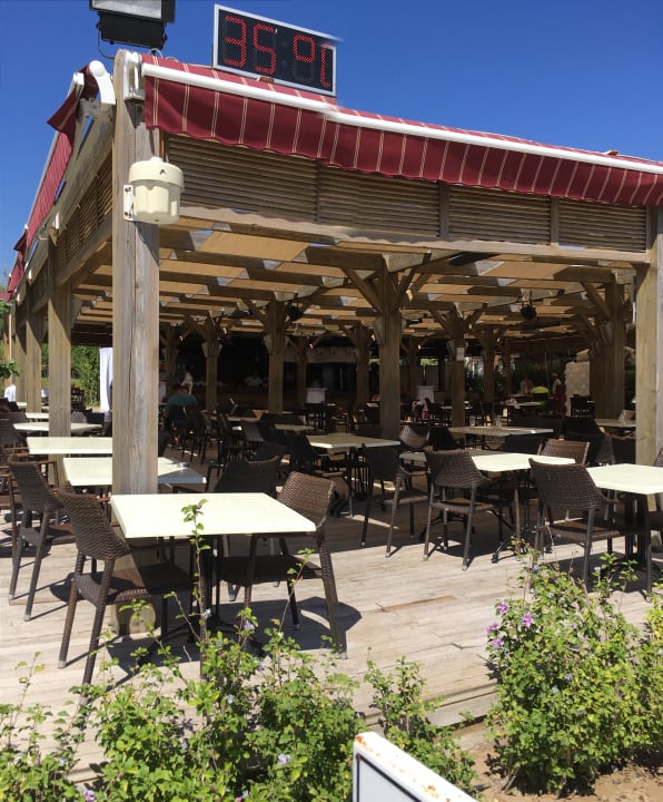 Gastro Sentido Trendy Verbena Beach