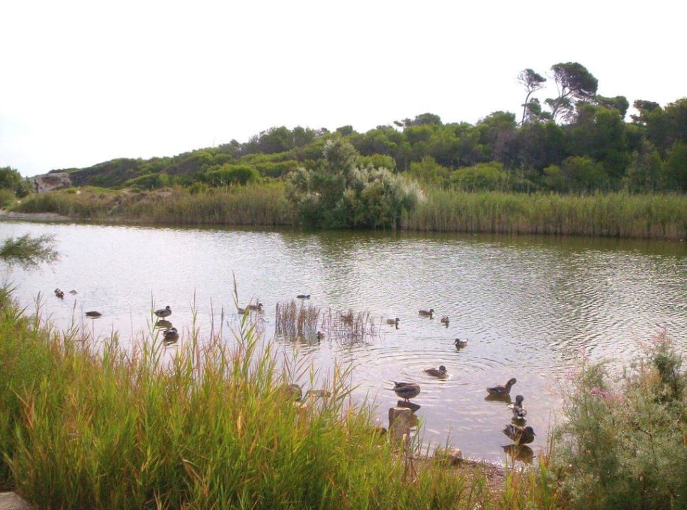 Weg zum Strand Hotel Exagon Park