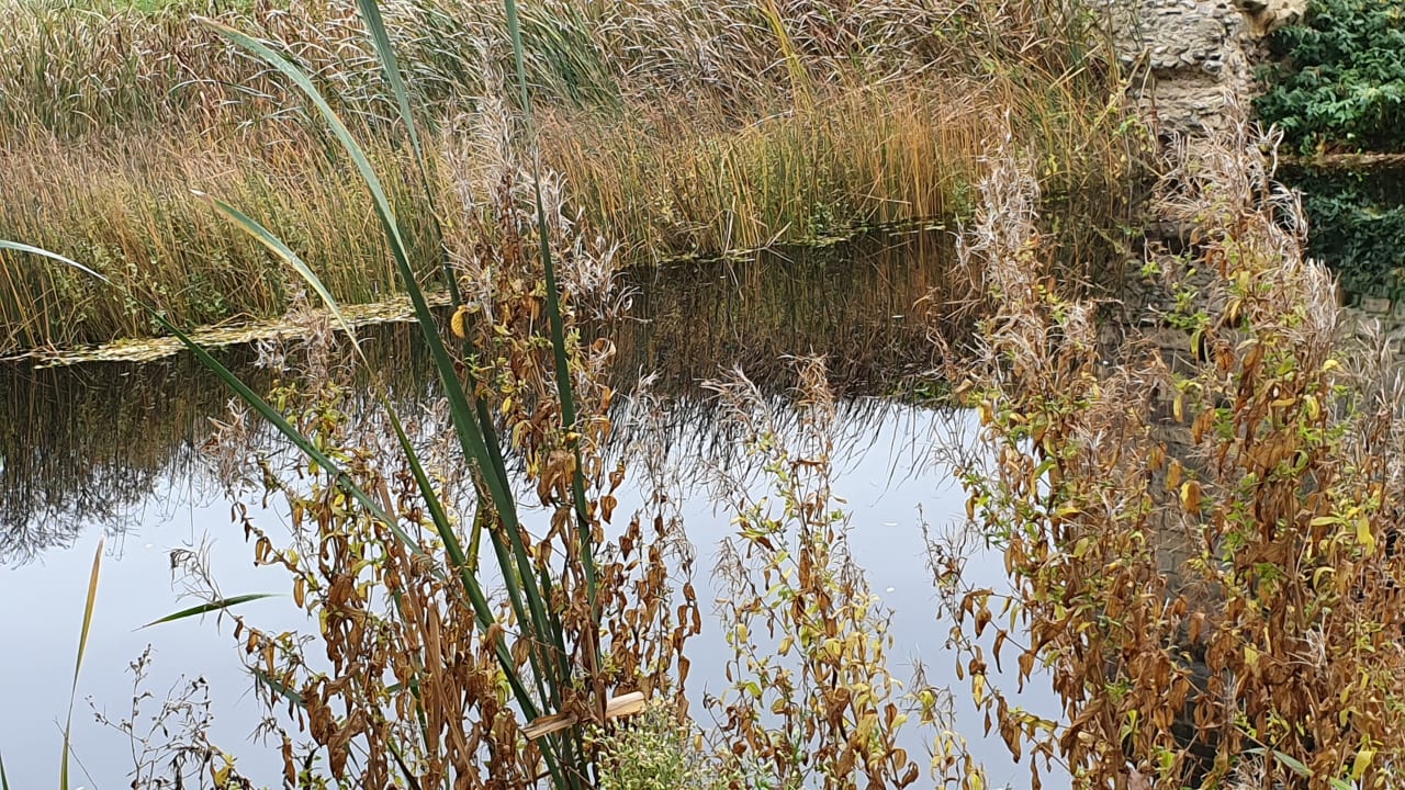 Gartenanlage Kasteel Pietersheim