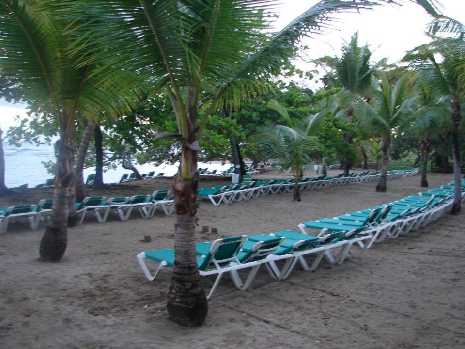 Strand vor Sonnenaufgang mit Liegestuhlarmada Playabachata Hotel