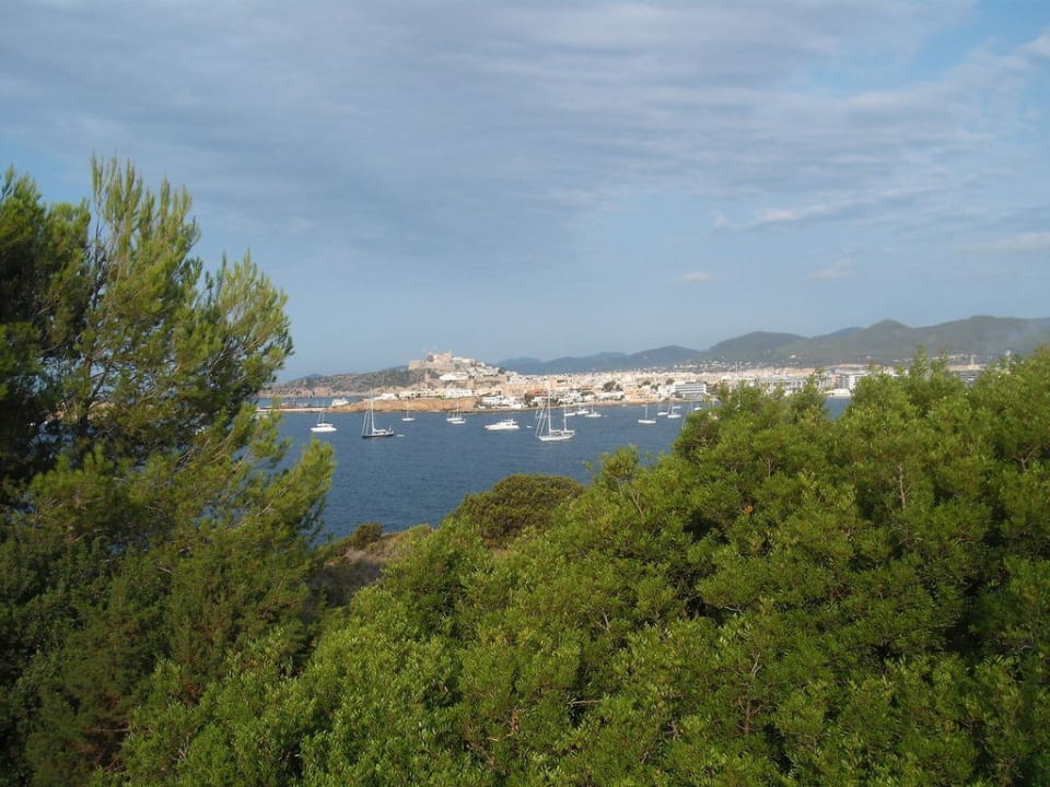 Ausblick Destino Pacha Ibiza Resort - Adults only