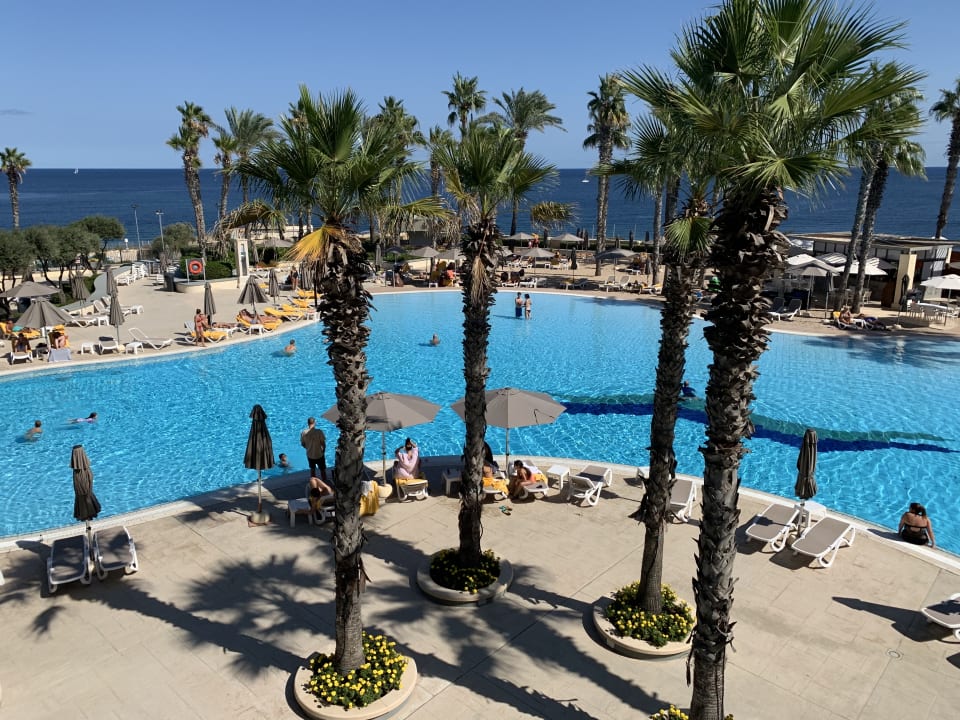 Pool Hilton Malta