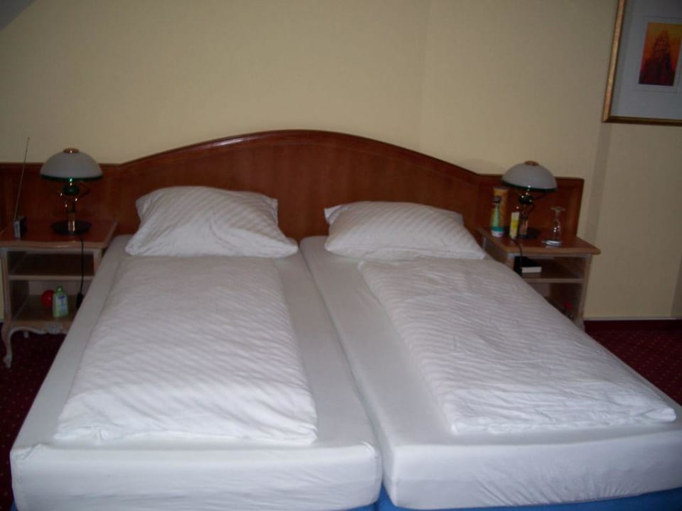 Zimmer  Luitpoldpark Hotel