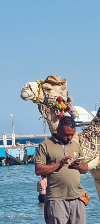 Sport & Freizeit Amarina Abu Soma Resort & Aquapark