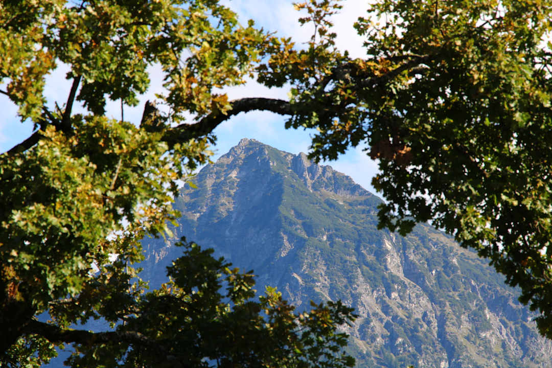 Ausblick Hotel Alpenblick