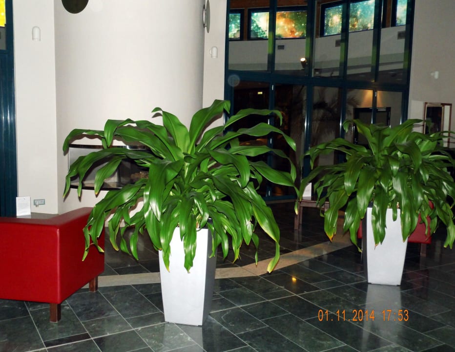 Hotellobby Recknitztal-Hotel Marlow