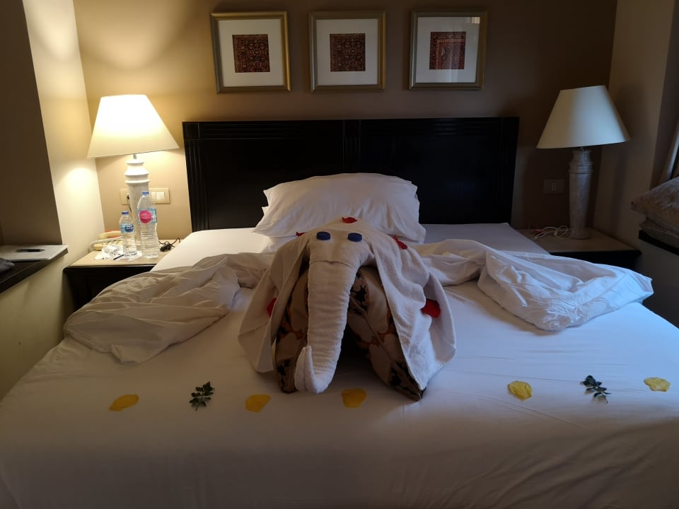 Zimmer Steigenberger Coraya Beach - Adults only