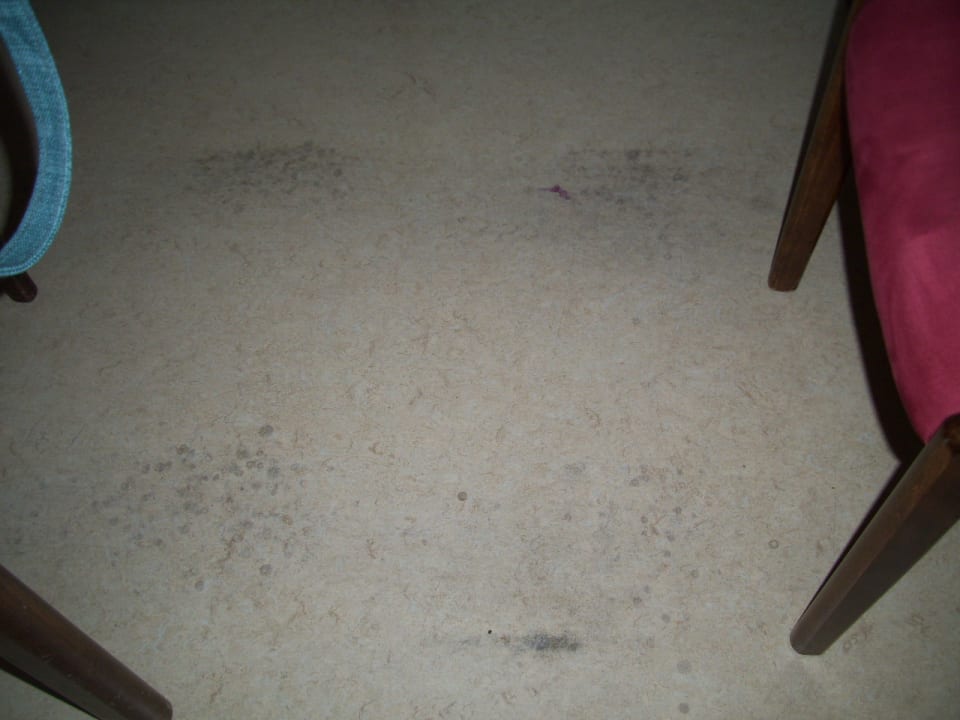 Küchenbereich Panoramic - Ihr Apartmenthotel im Harz