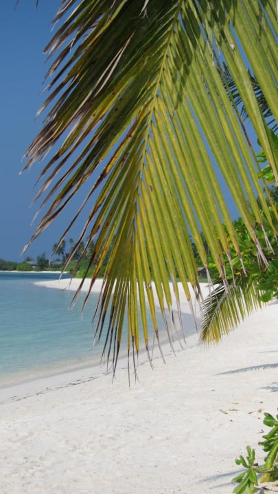 Strandspaziergang Kuredu Island Resort & Spa