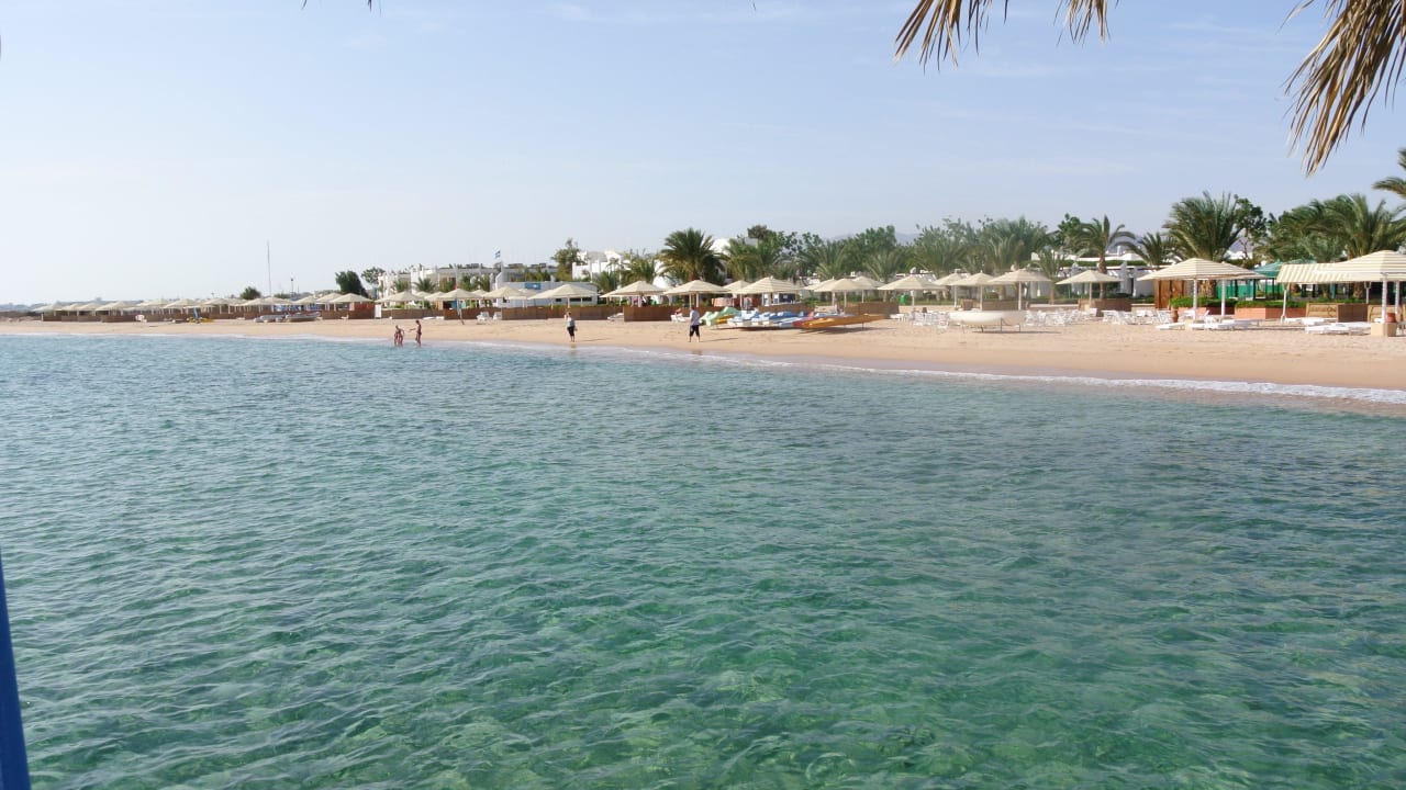 Von der Mole Menaville Safaga