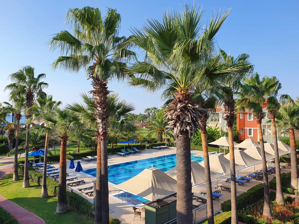 Pool Megasaray Club Belek