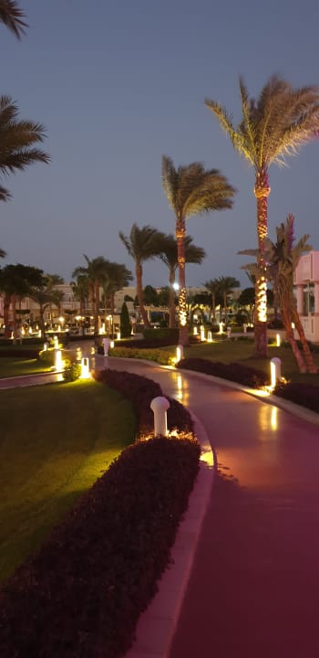 Garten Pickalbatros Palace Resort