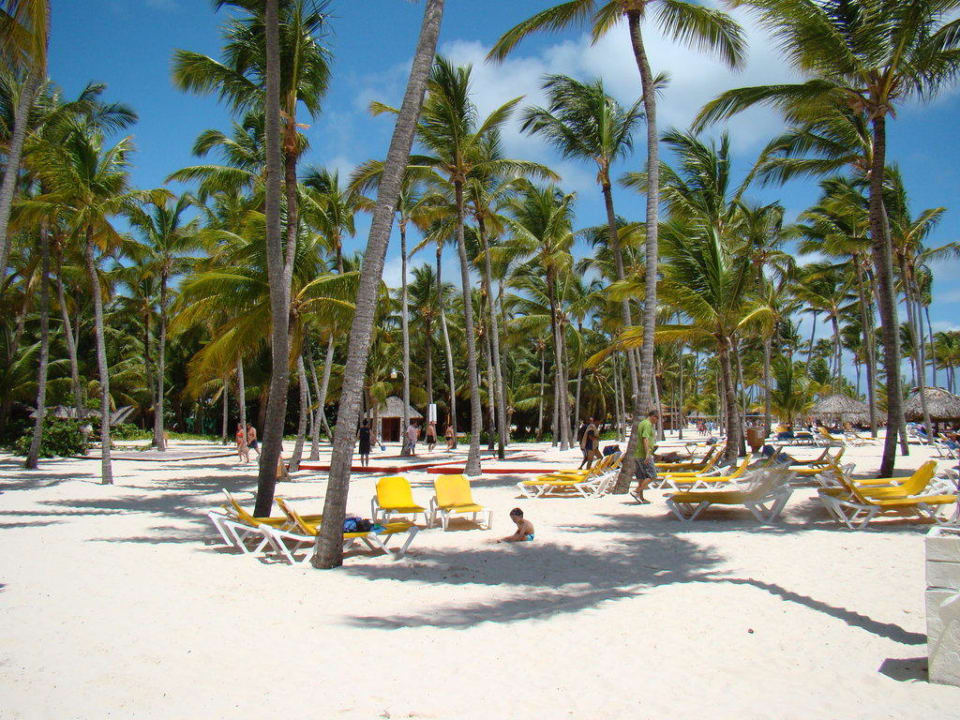 Der wunderschöne Hotelstrand Catalonia Punta Cana - All Inclusive