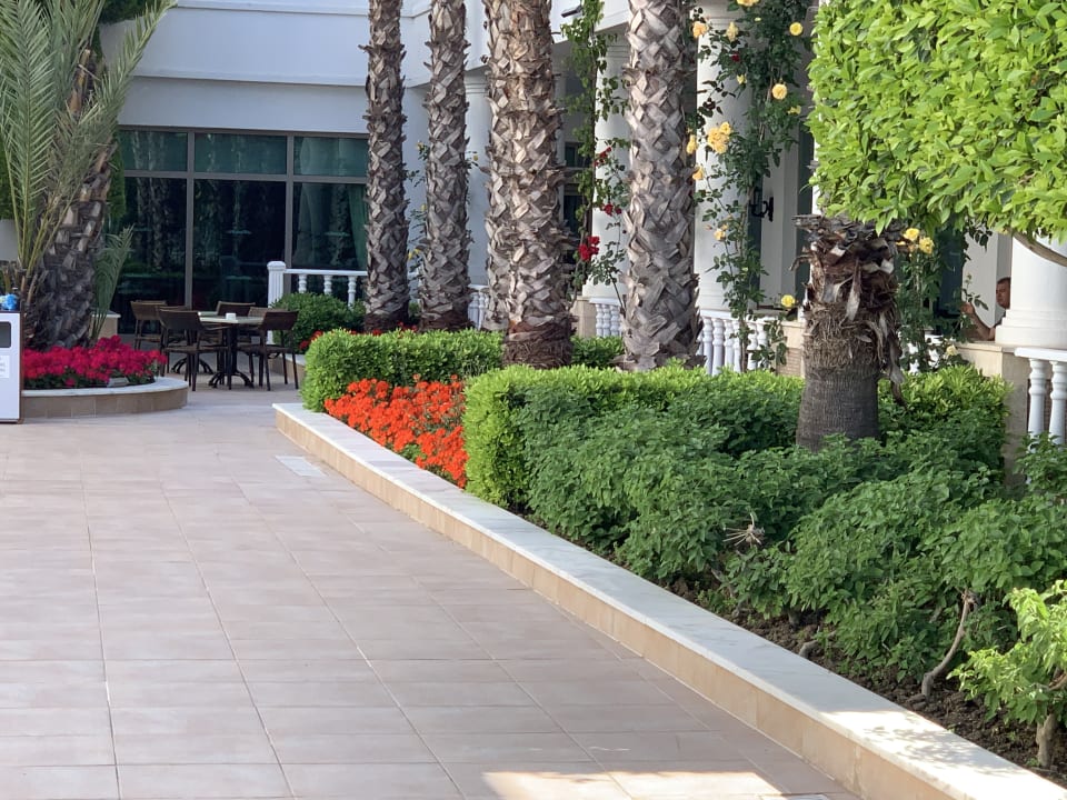 Sonstiges Alba Queen Hotel