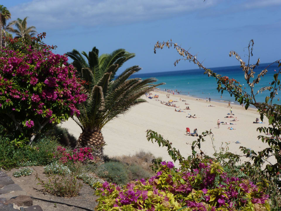 Strand Playa de Jandia Servatur Alameda de Jandía