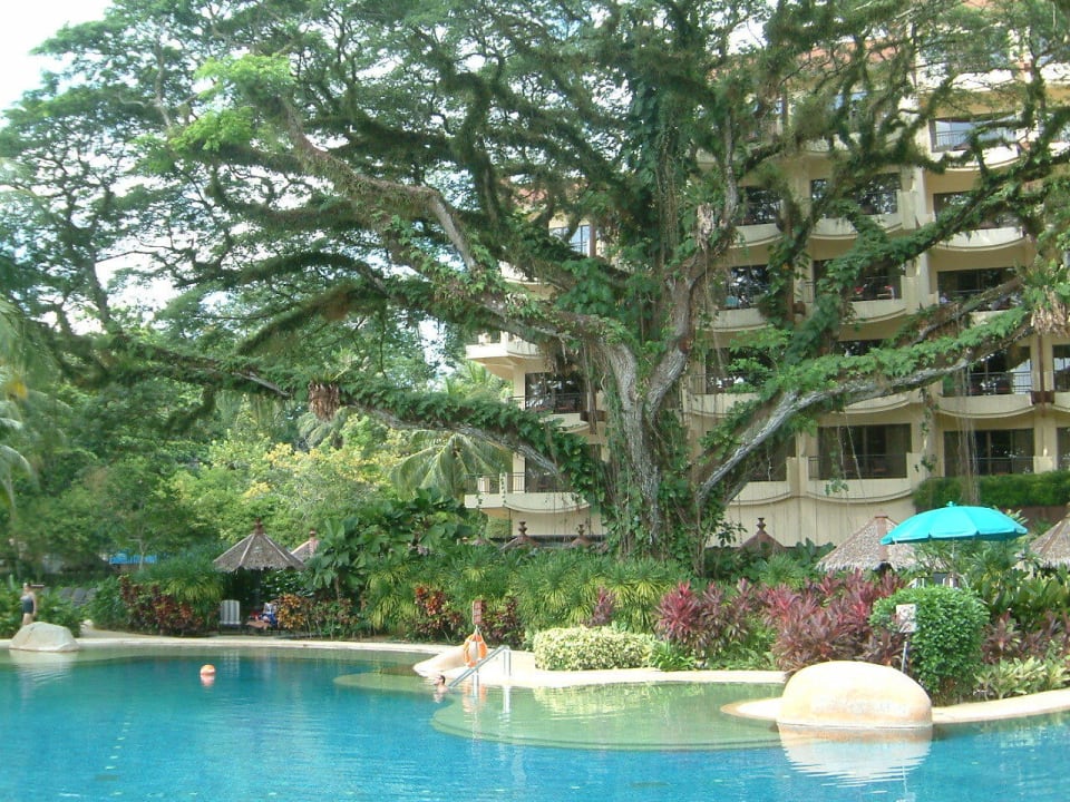 Alte Bäume Hotel Shangri-La Rasa Sayang Resort