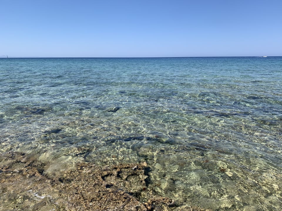 Strand Atlantica Sea Breeze