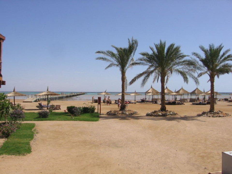 Widok na plażę Coral Sea Holiday Village