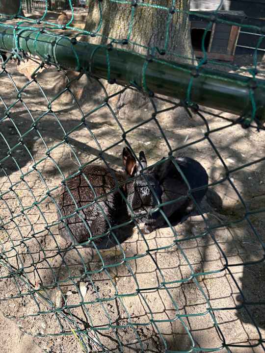 Sport & Freizeit Camping & Bungalows RCN Zeewolde