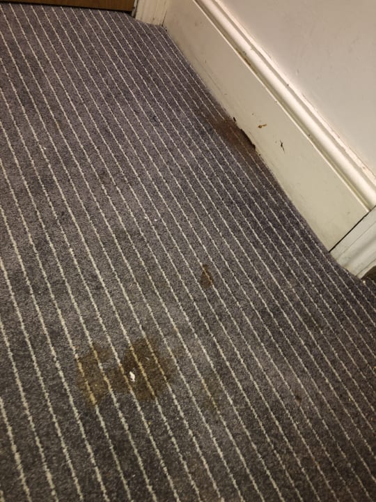 Sonstiges Hyde Park Superior Apartments