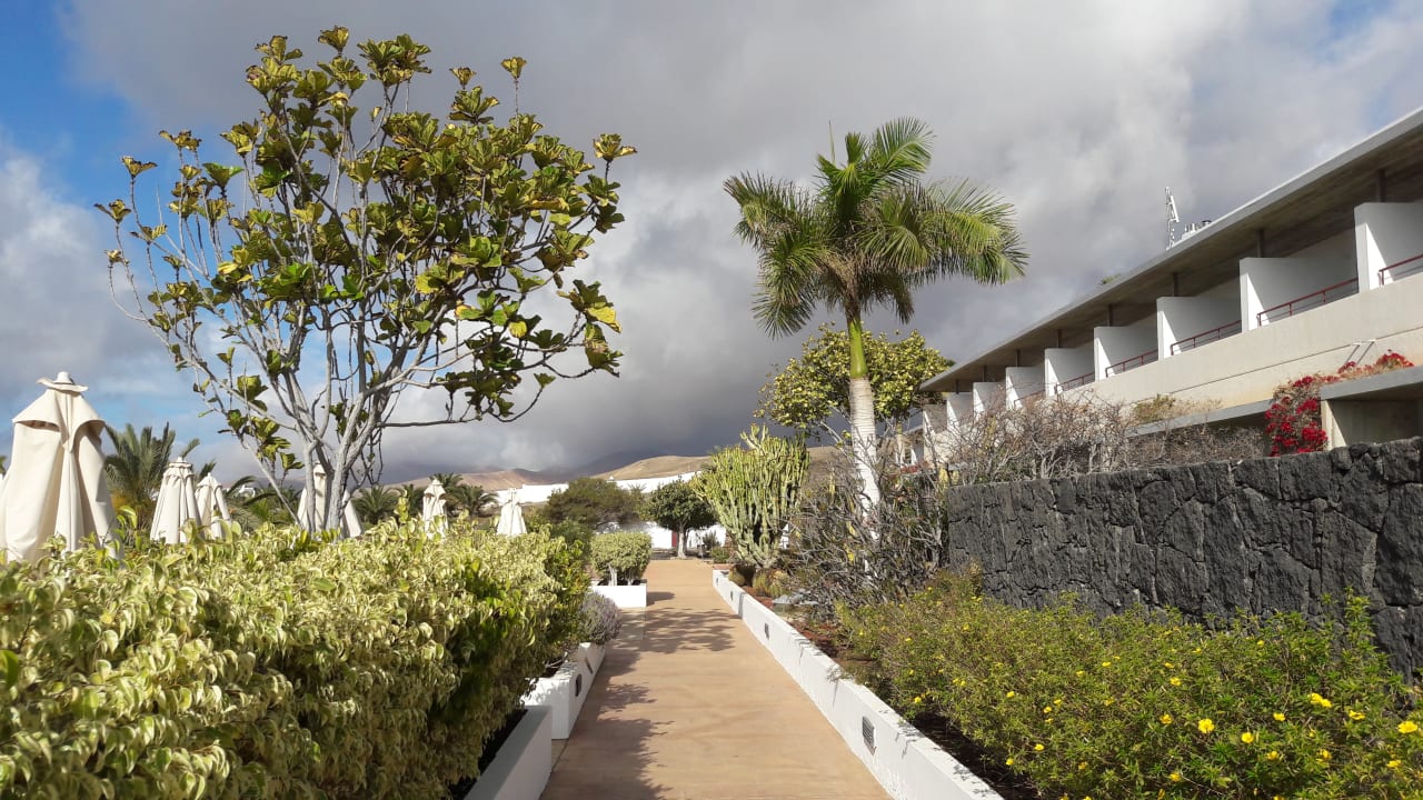 Gartenanlage Hotel Costa Calero