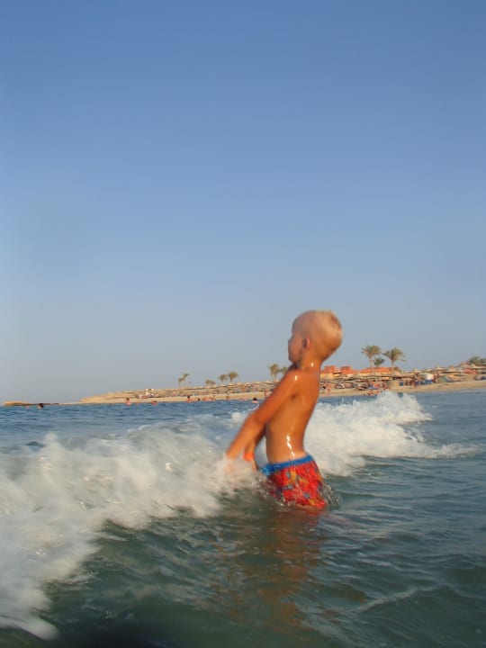 ..... Malikia Resort Abu Dabbab