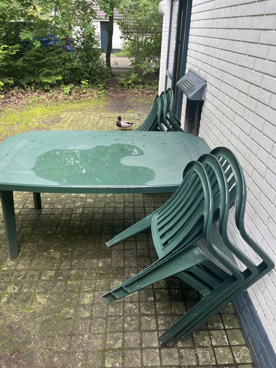 Zimmer Sunparks Kempense Meren