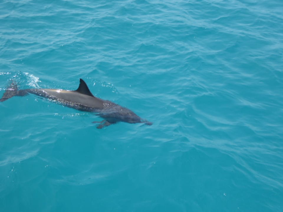 Sport & Freizeit OZEN LIFE MAADHOO