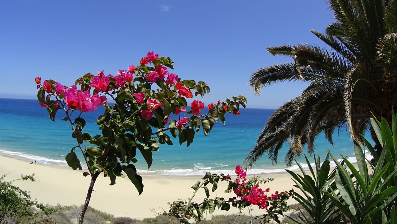 Strand SBH Club Paraiso Playa