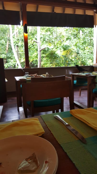 Restaurant Adaaran Select Meedhupparu Island Resort - Premium All Inclusive