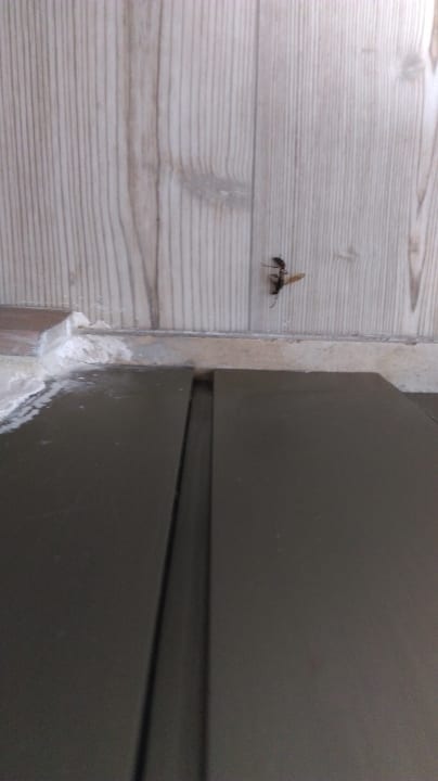 Sonstiges Grecotel LUXME Palms at Riviera Olympia & Aqua Park