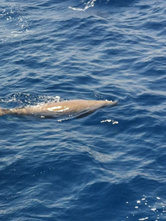 Strand Three Corners Happy Life Beach Resort