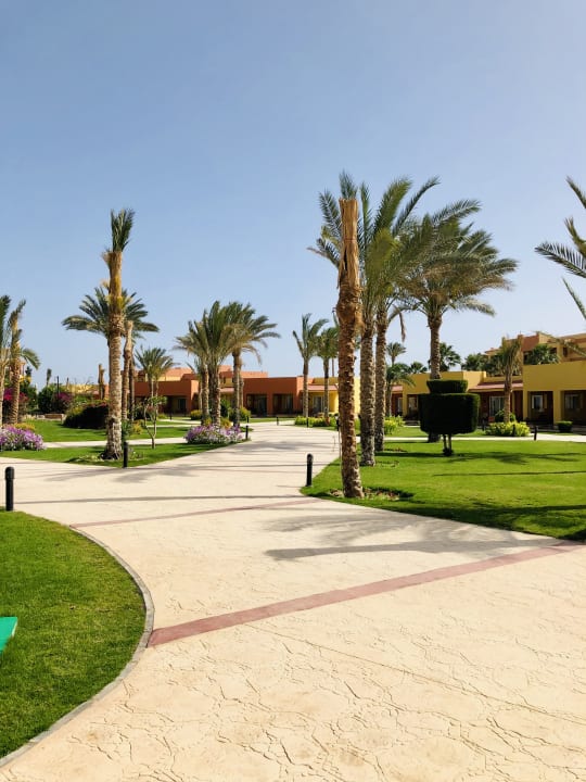 Gartenanlage Malikia Resort Abu Dabbab