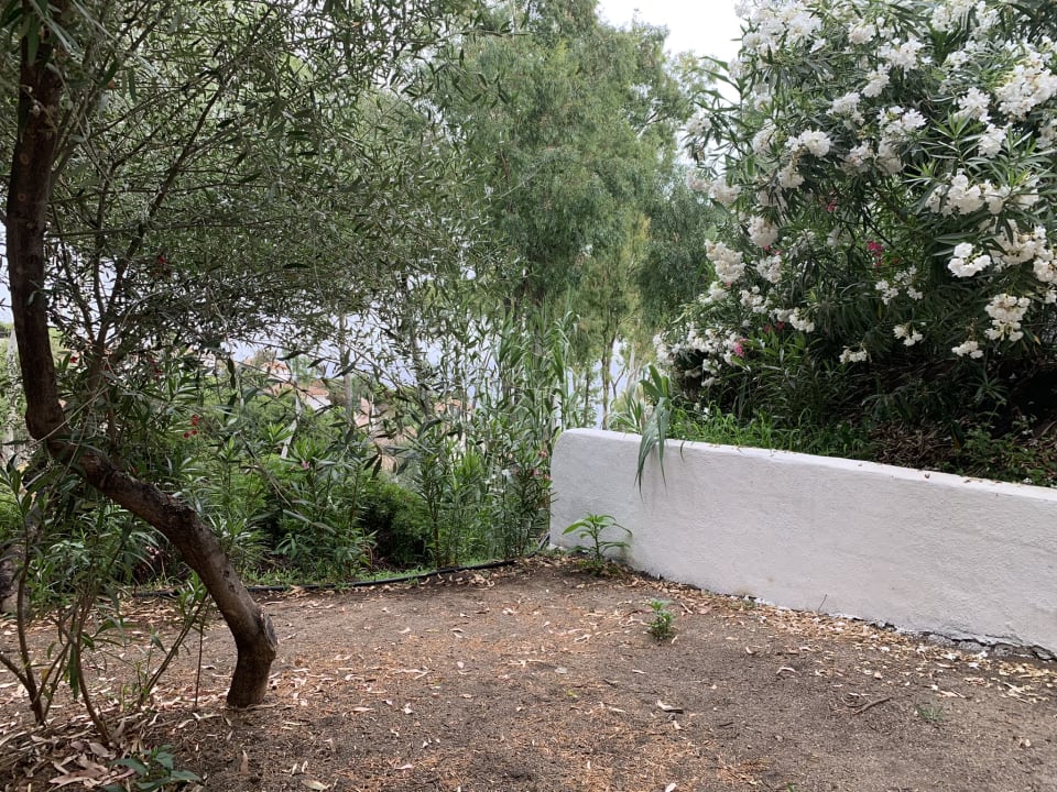 Gartenanlage Arbatax Park Resort - Dune