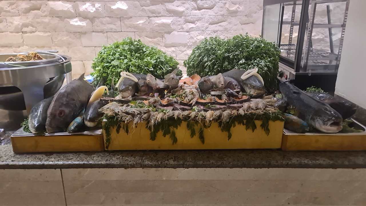 Gastro Jaz Costa Mares (Adults Only)