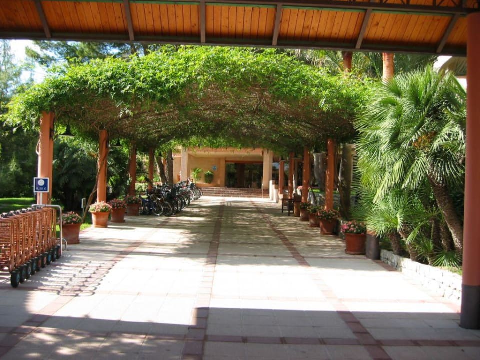 Hoteleingang Zafiro Bahia