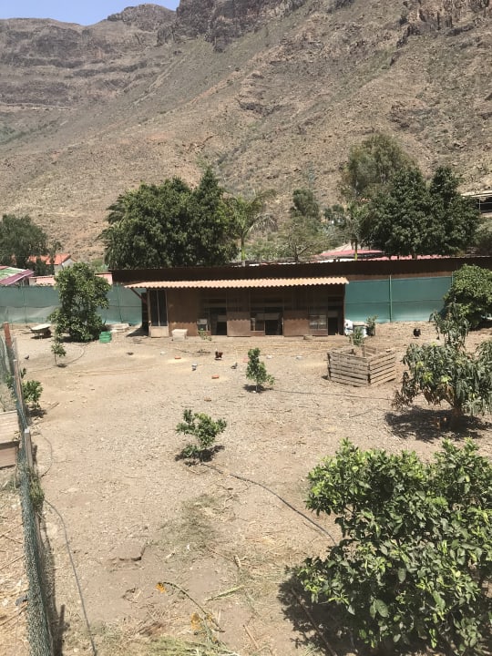 Ausblick Bio Finca - Las Tenerías