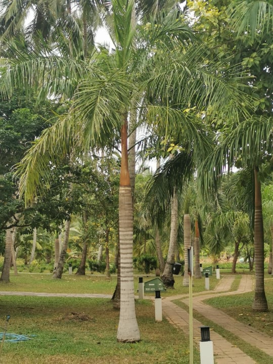 Gartenanlage Club Palm Bay
