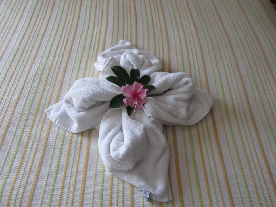 Immer neue Handtuchmotive Dreams La Romana Resort & Spa