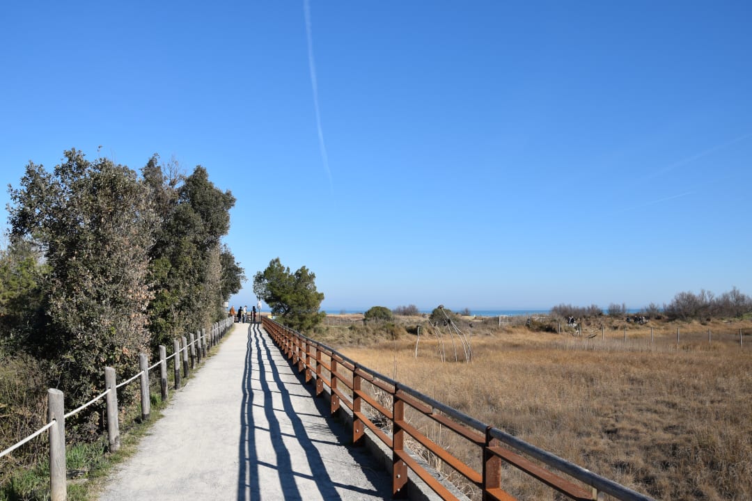 Sonstiges Hotel Golf