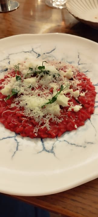 Gastro Acanthus Cennet Barut Collection